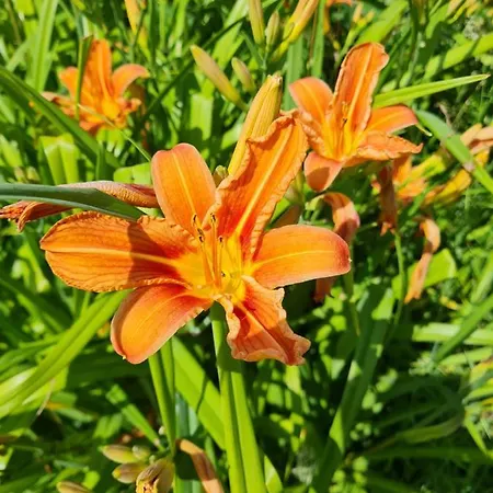 Domaine De La Cour Vautier ベッド・アンド・ブレックファスト 3*