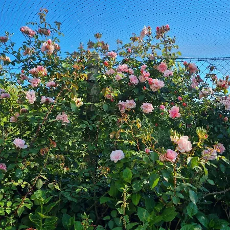 Domaine De La Cour Vautier 3* Mandeville-en-Bessin