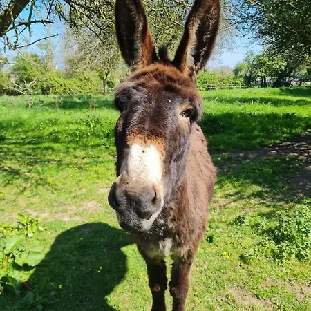 B&B Domaine De La Cour Vautier 3*