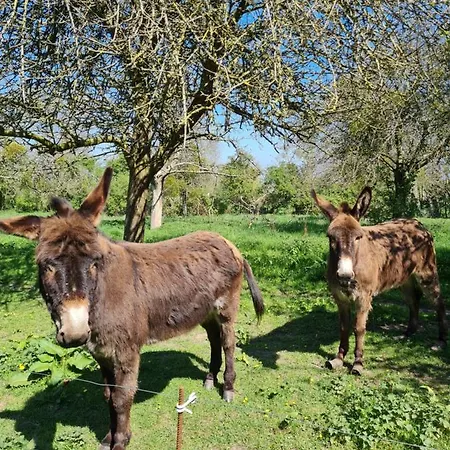 Domaine De La Cour Vautier Mandeville-en-Bessin