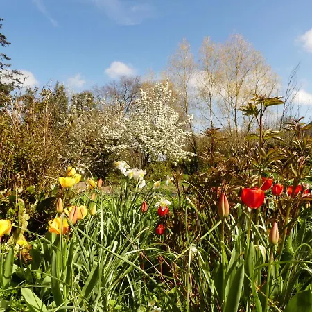 ベッド・アンド・ブレックファスト Domaine De La Cour Vautier Mandeville-en-Bessin