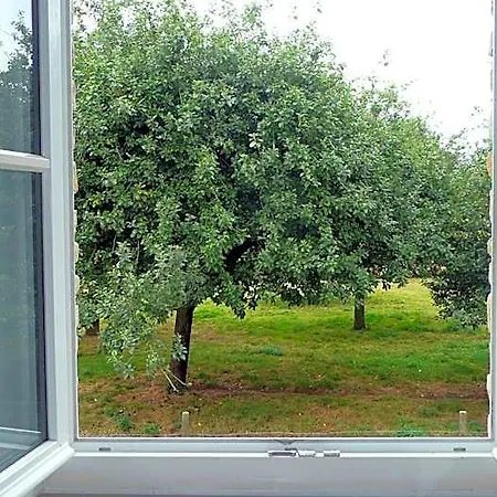 Domaine De La Cour Vautier