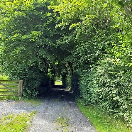 Domaine De La Cour Vautier Bed & Breakfast Mandeville-en-Bessin