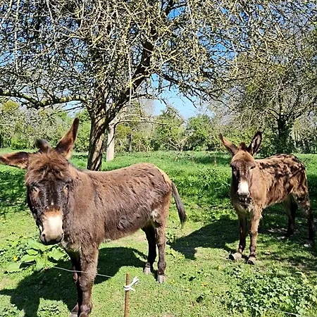 Domaine De La Cour Vautier Mandeville-en-Bessin