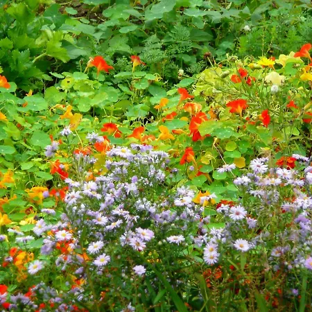 Domaine De La Cour Vautier Mandeville-en-Bessin