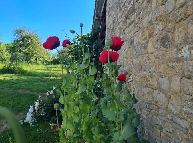 Bed & Breakfast Domaine De La Cour Vautier 3*