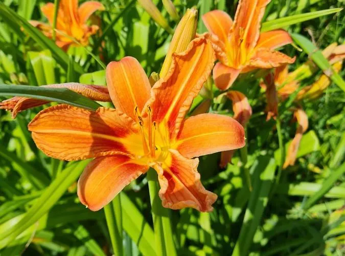 Domaine De La Cour Vautier Bed & Breakfast 3*