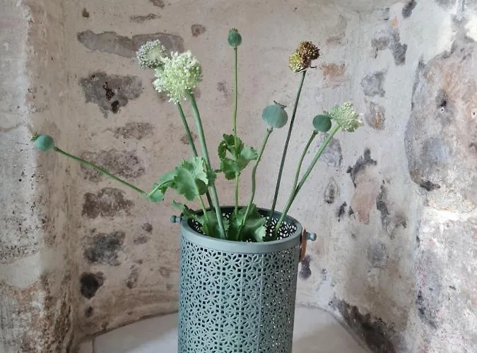 Bed & Breakfast Domaine De La Cour Vautier 3*