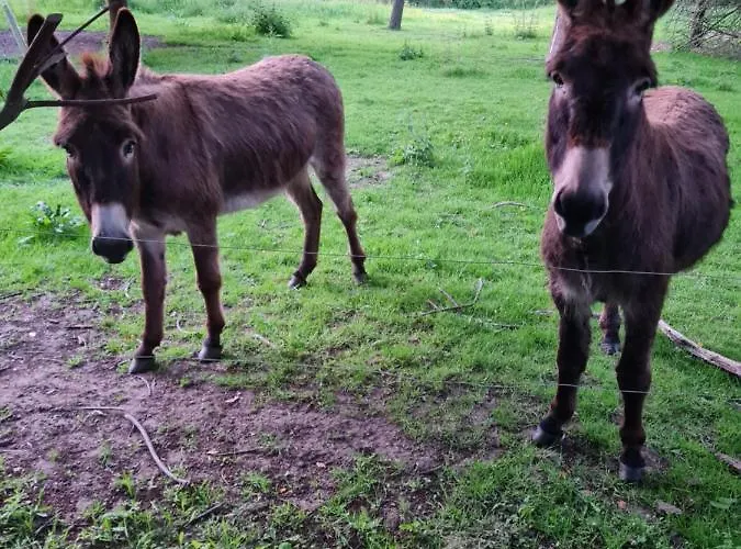 Domaine De La Cour Vautier 3*