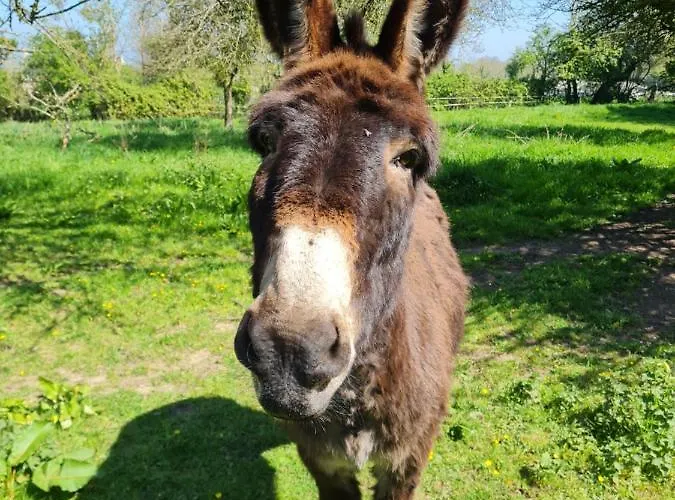 Bed & Breakfast Domaine De La Cour Vautier 3*