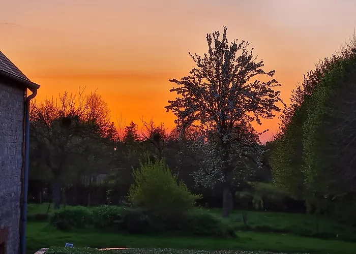 Domaine De La Cour Vautier