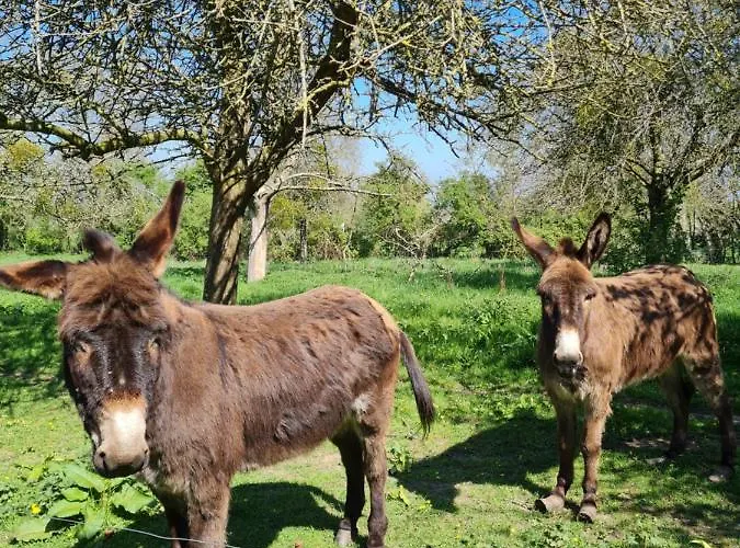 Domaine De La Cour Vautier Mandeville-en-Bessin