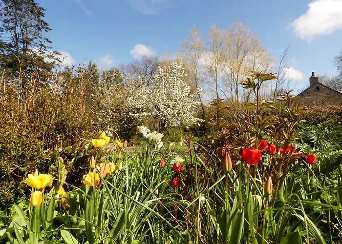 Bed & Breakfast Domaine De La Cour Vautier Mandeville-en-Bessin
