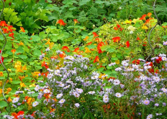 Domaine De La Cour Vautier Mandeville-en-Bessin